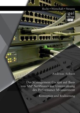 Das Management Cockpit auf Basis von SAP NetWeaver zur Unterstützung des Performance Measurement: Konzeption und Realisierung