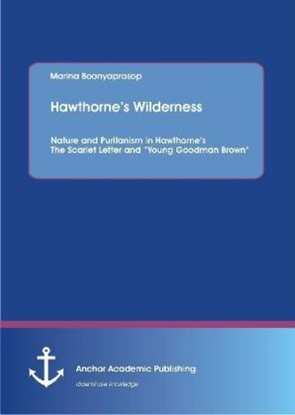 Hawthorne's Wilderness