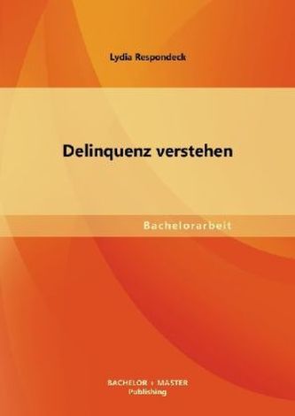 Delinquenz verstehen