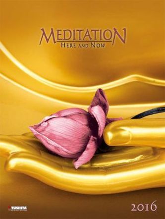 Meditation 2016