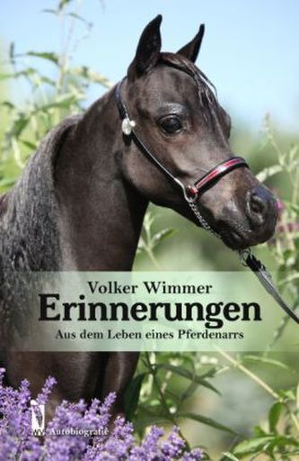 Erinnerungen
