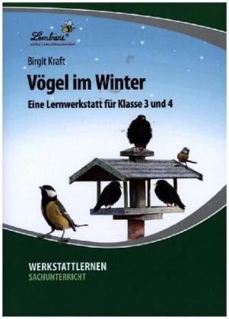 Vögel im Winter