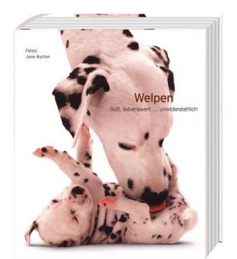 WELPEN - süß, liebenswert...unwiderstehlich