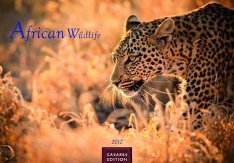 African Wildlife 2017