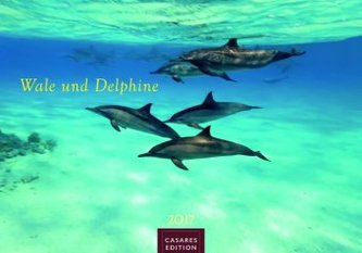 Wale und Delphine 2017