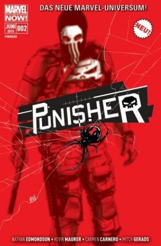 Punisher. Bd.2