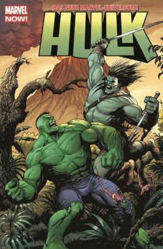 Hulk. Sonderbd.2