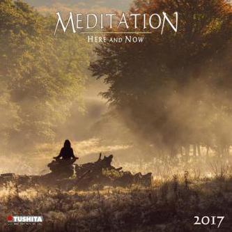 Meditation 2017