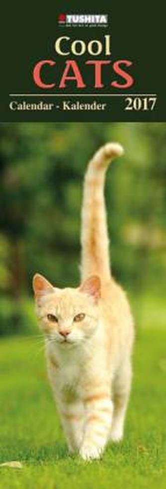 Cool Cats 2017