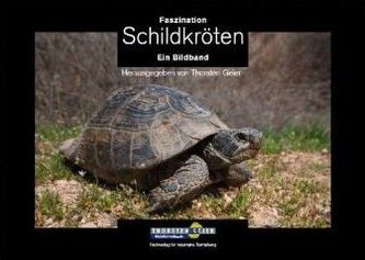 Faszination Schildkröten