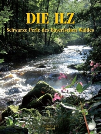 Die Ilz