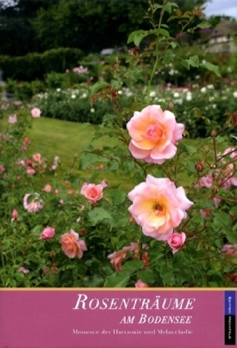 Rosenträume am Bodensee
