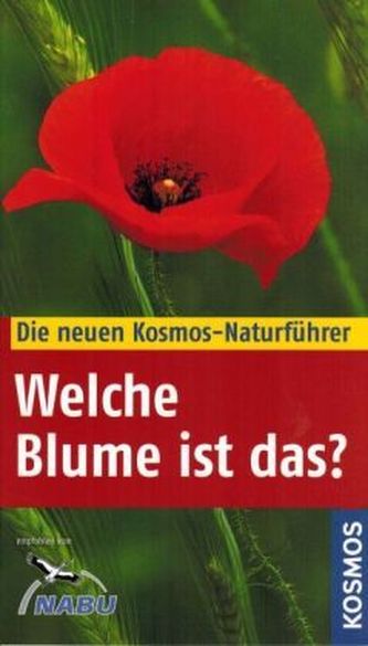 Welche Blume ist das?