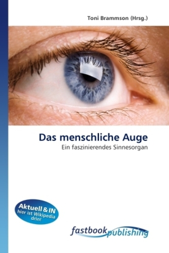 Das menschliche Auge