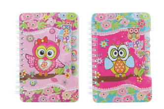 Zápisník A6 sovičky