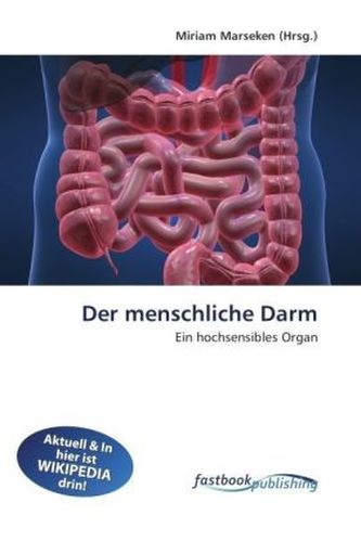 Der menschliche Darm