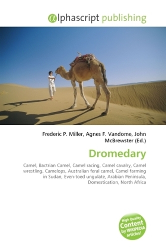 Dromedary