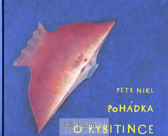 Pohádka o Rybitince+CD