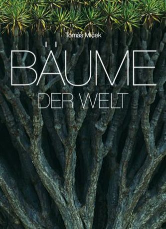 Bäume der Welt