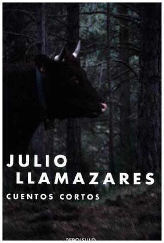 Cuentos Cortos