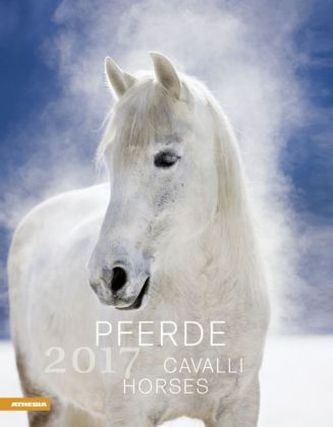 Pferde 2017