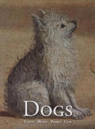 Dogs, 30 Postkarten m. Umschlag