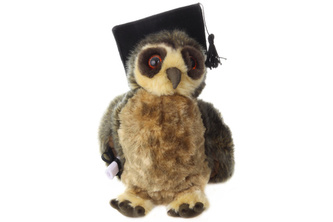 Plyš Moudrá sova 25 cm