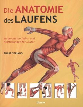 Die Anatomie des Laufens