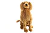 Plyš Pes retrívr 62 cm