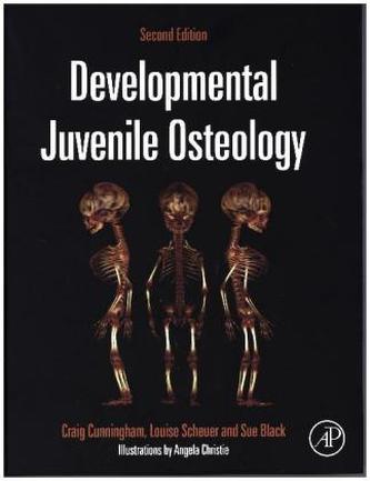 Developmental Juvenile Osteology
