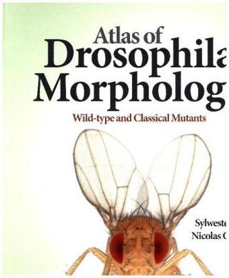Atlas of Drosophila Morphology