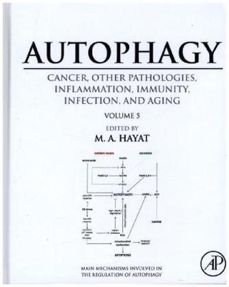 Autophagy: Cancer, Other Pathologies, Inflammation, Immunity, Infection, and Aging