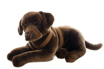 Plyš Labrador hnědý
