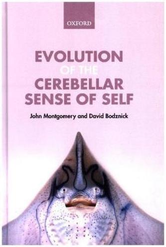 Evolution of the Cerebellar Sense of Self