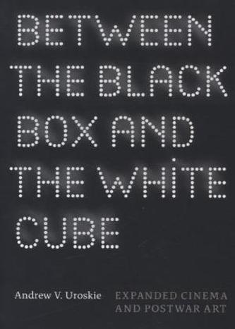 Between the Black Box and the White Cube