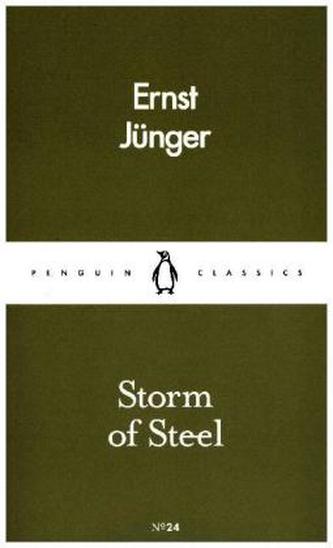 Storm of Steel