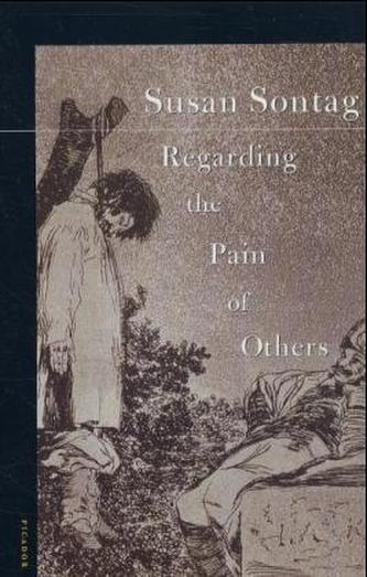 Regarding the Pain of Others