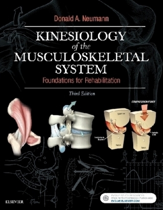 Kinesiology of the Musculoskeletal System
