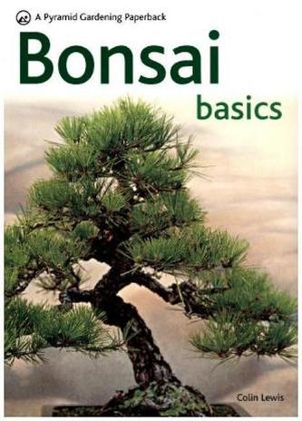 Bonsai Basics
