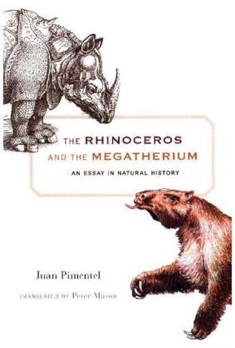 The Rhinoceros and the Megatherium