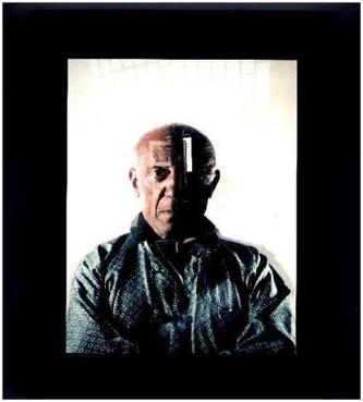 Picasso and the Camera