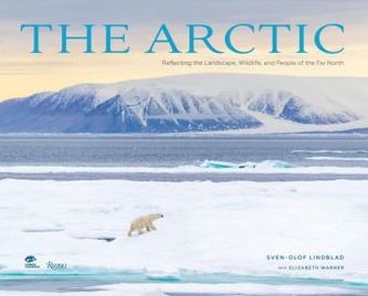 The Arctic