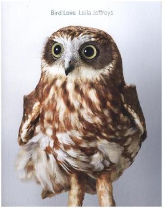 Bird Love
