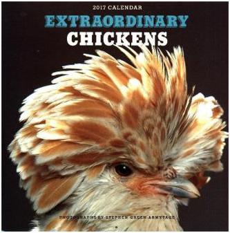 Extraordinary Chickens 2017 Wall Calendar