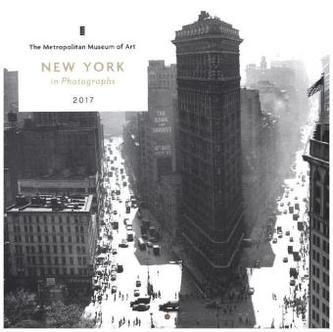 New York in Photographs 2017 Mini Wall Calendar
