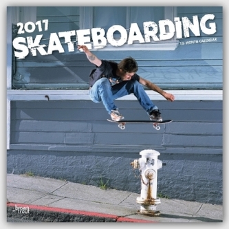 Skateboarding 2017