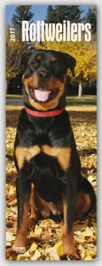 Rottweilers 2017