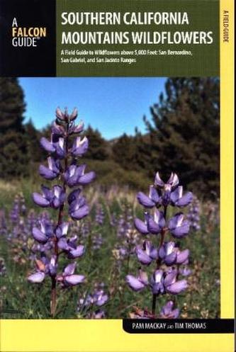 Southern California Mountains Wildflowers