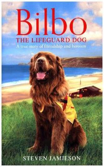 Bilbo the Lifeguard Dog