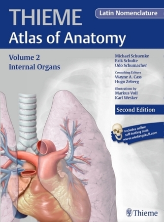 Internal Organs, Latin nomenclature
